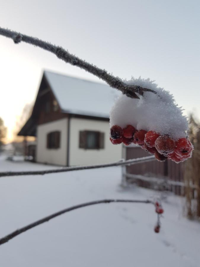 Łap Las Pelnik Exterior foto